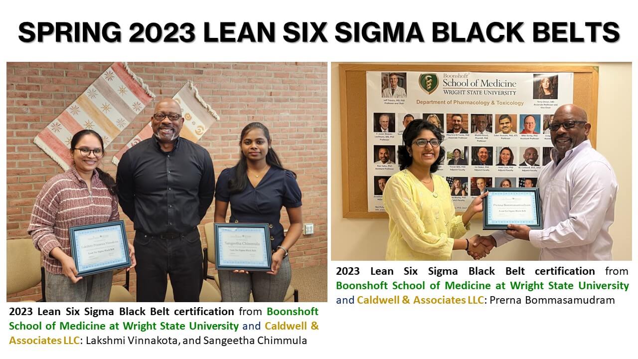 Lean Six Sigma in Action - Slide 2